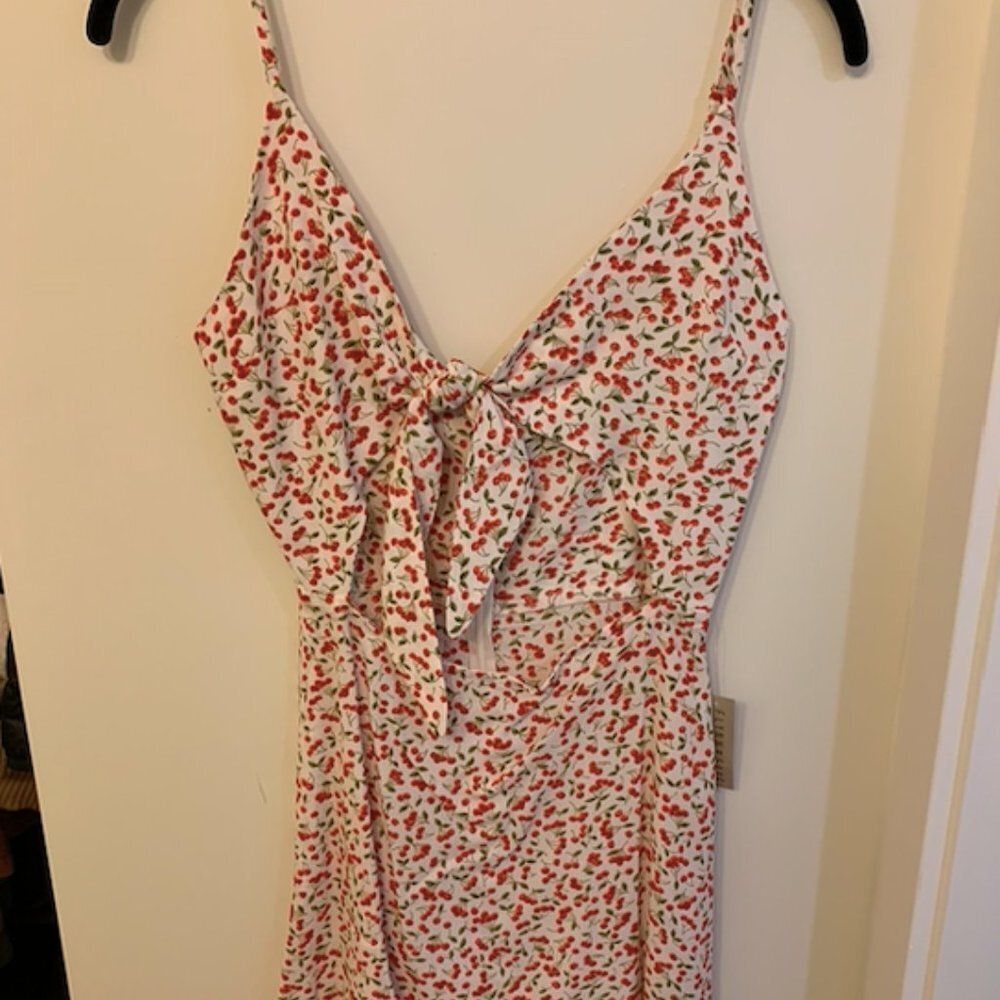 Flynn Skye Bri Mini Dress in Cherry - Picture 6 of 11